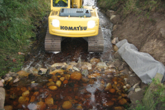 ramme-einbau-von-steinschwellen-bei-klein-wohnste-foto-1